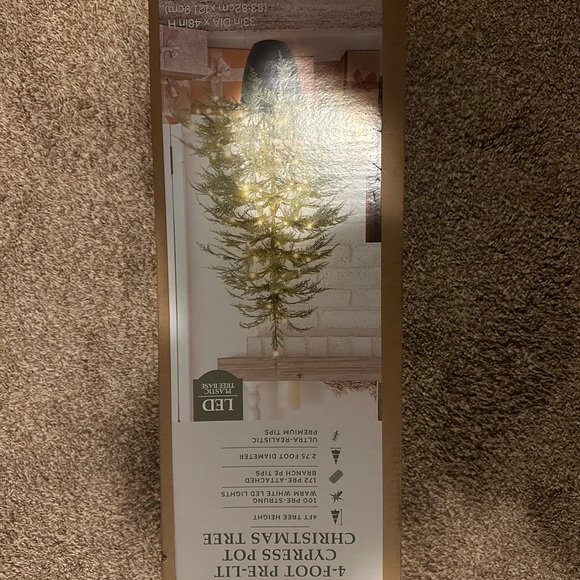 my texas house Holiday My Texas House Potted 4 Prelit Cypress